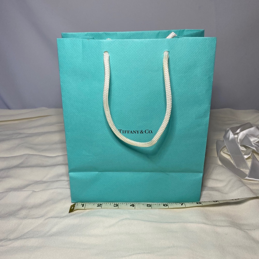 Tiffany & Co. STORE shopping bag